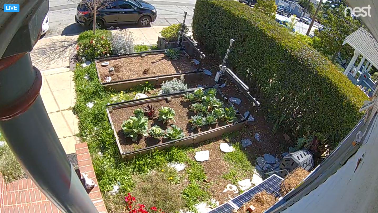 farmbot webcam in the day